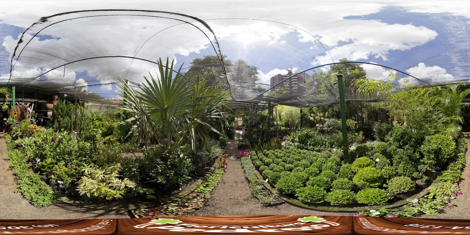 Estufa com plantas ornamentais e folhagens